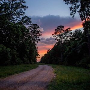 Meet your Posher, Shanon